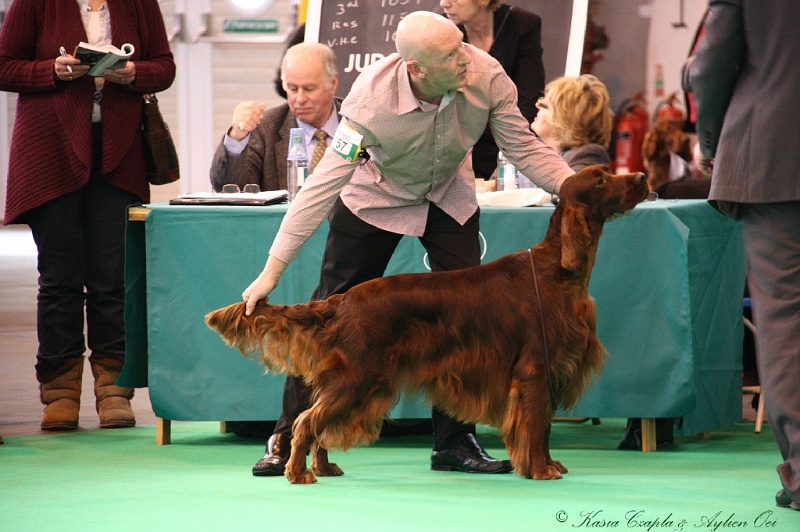 Crufts2011 408.jpg